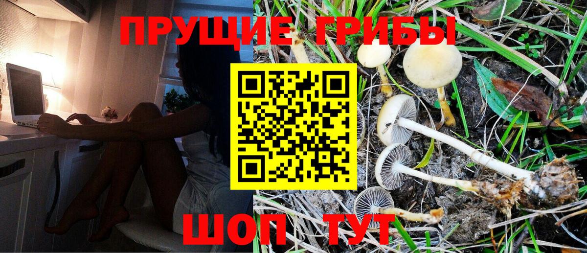 Галлюциногенные грибы мухоморы Трёхгорный