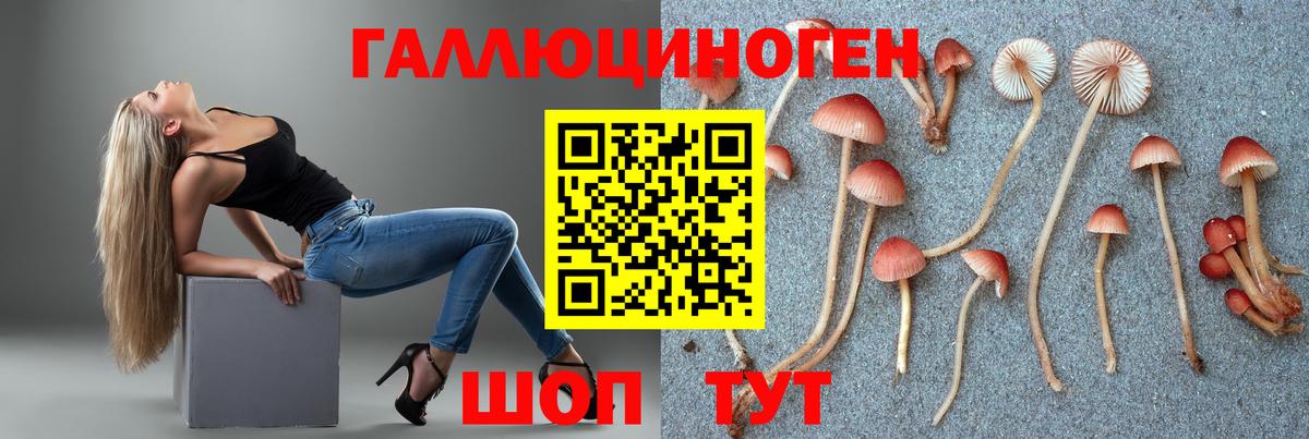 Псилоцибиновые грибы Magic Shrooms  продажа наркотиков  Трёхгорный  Вход с VPN 